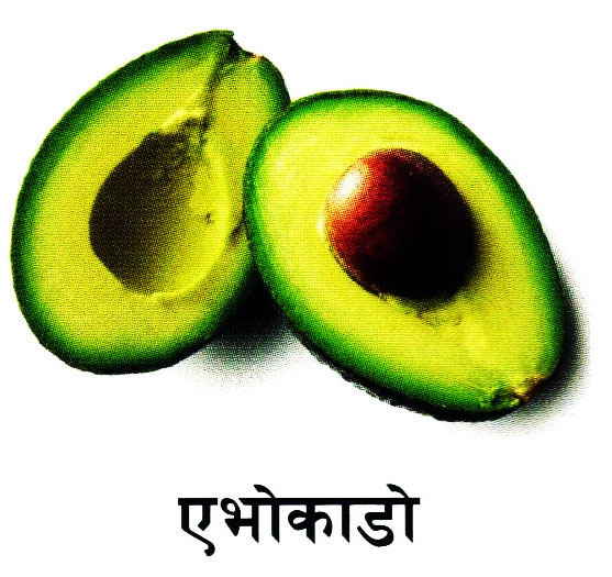 Fruit 4